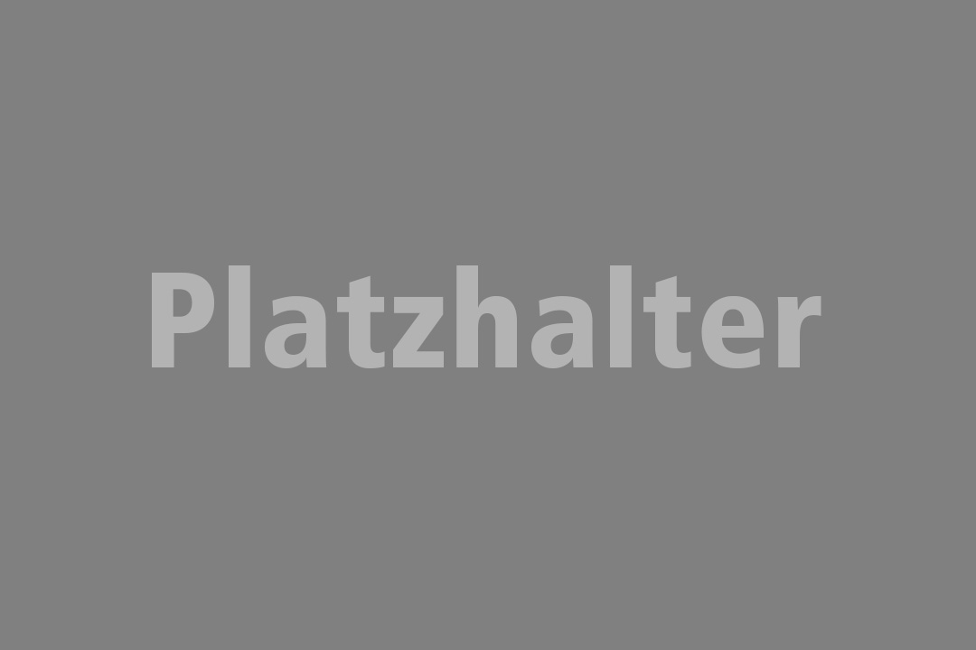 Bild zum Thema Türdrücker